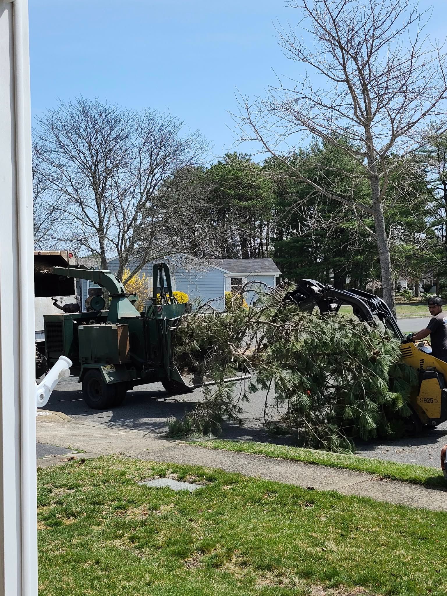 Yellow skid-steer loader clearing a fallen tree beside a road on a sunny day