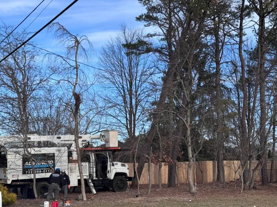 Utility truck parked by a fenced yard with tall trees under a clear blue sky