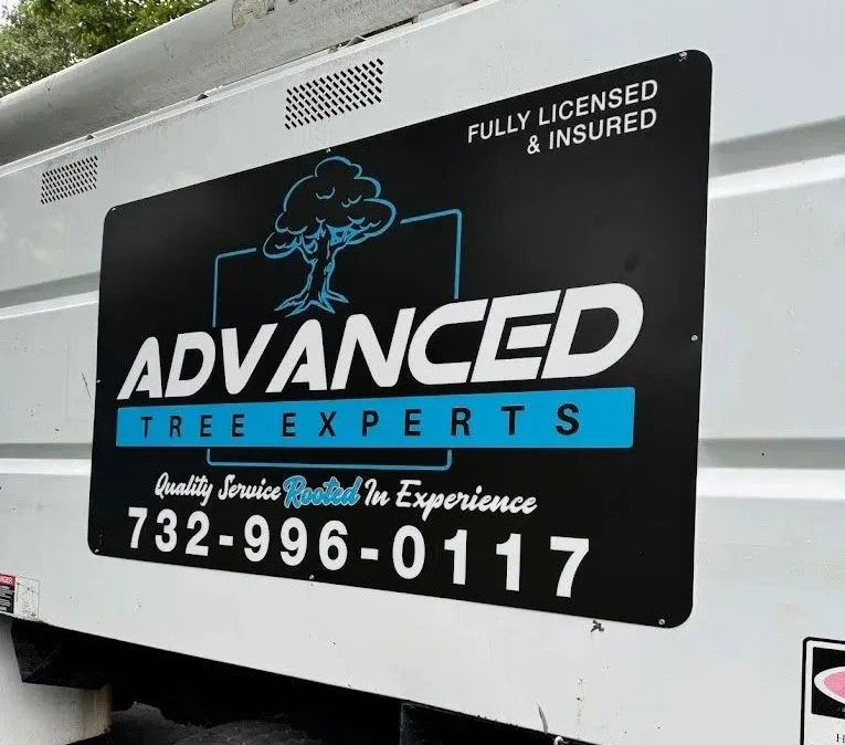 Black truck sign for Advanced Tree Experts with phone number and “Fully Licensed & Insured” text