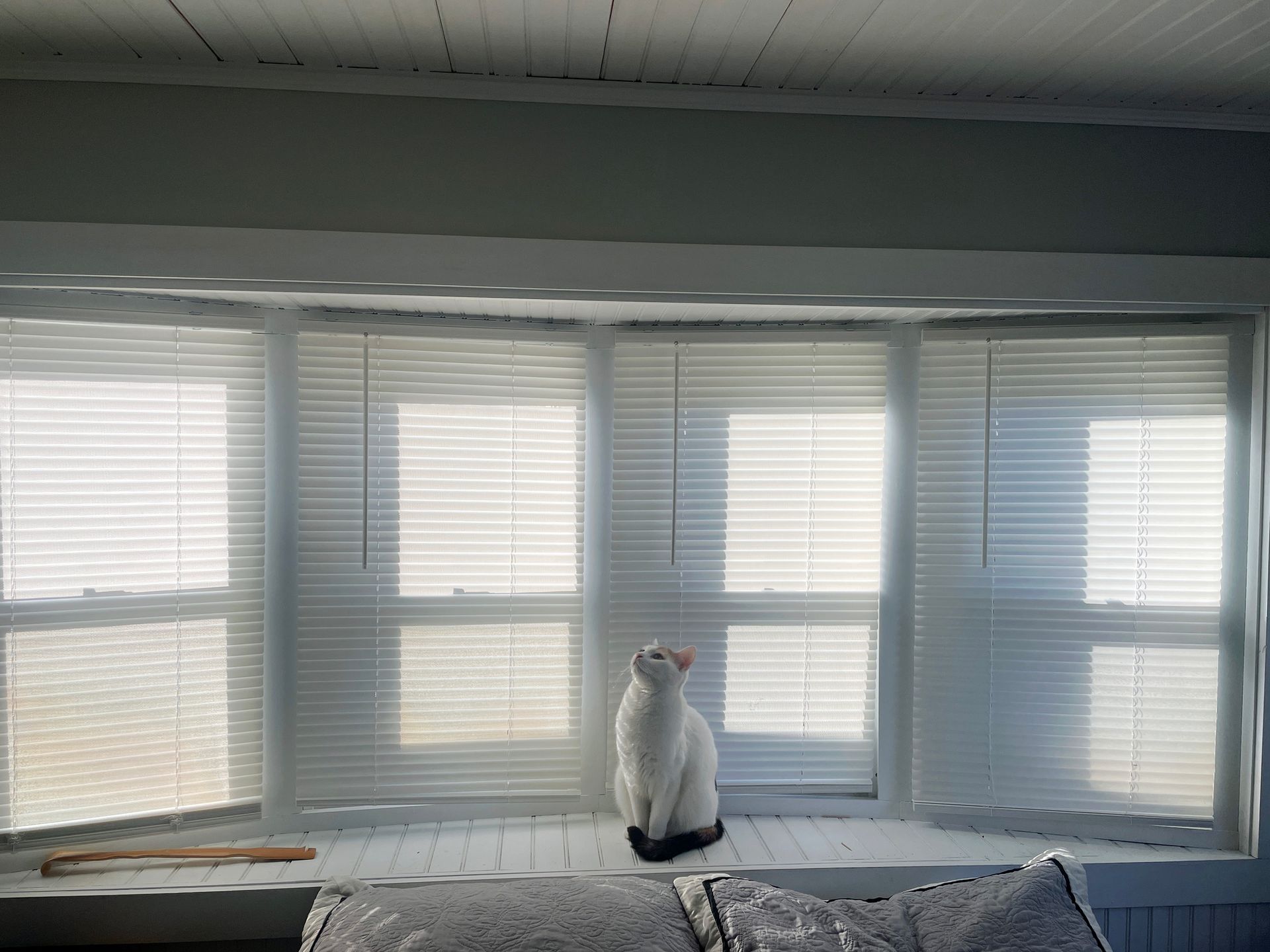 Adjusts Shade On Window — Hampton, VA — East Coast Blinds And Handyman Service
