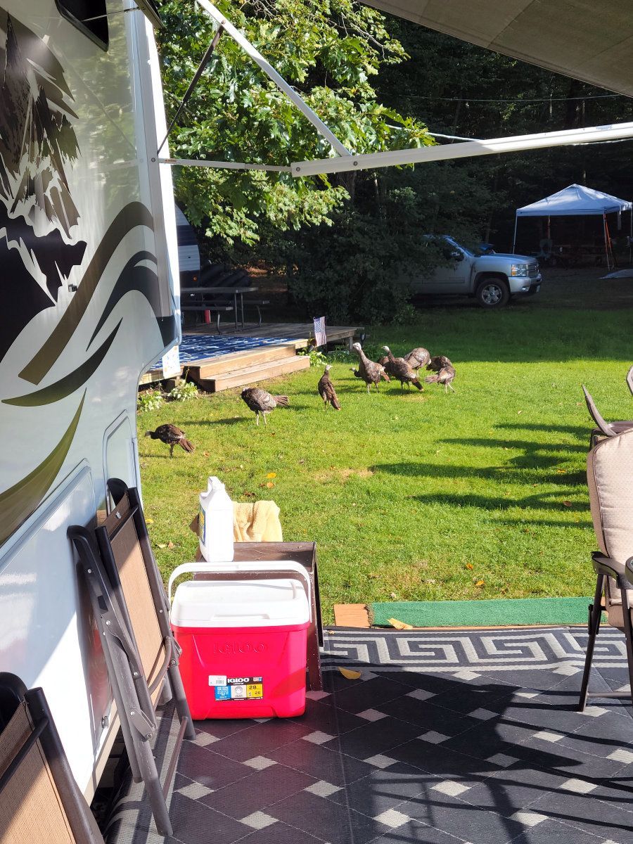 Camper's Candids - Photo 039
