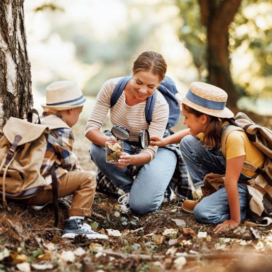 Experiences - Family Activities