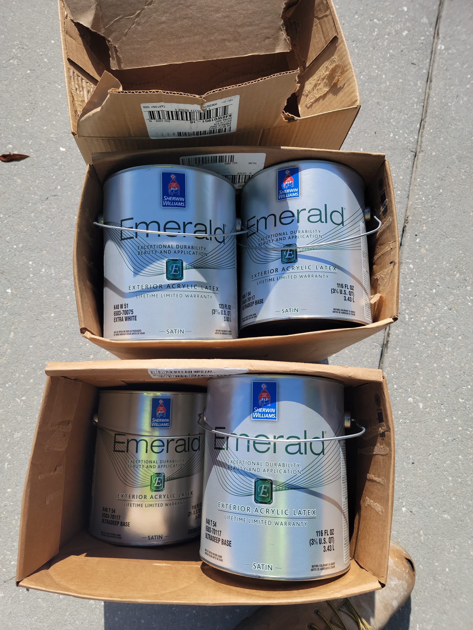 painters brandon fl