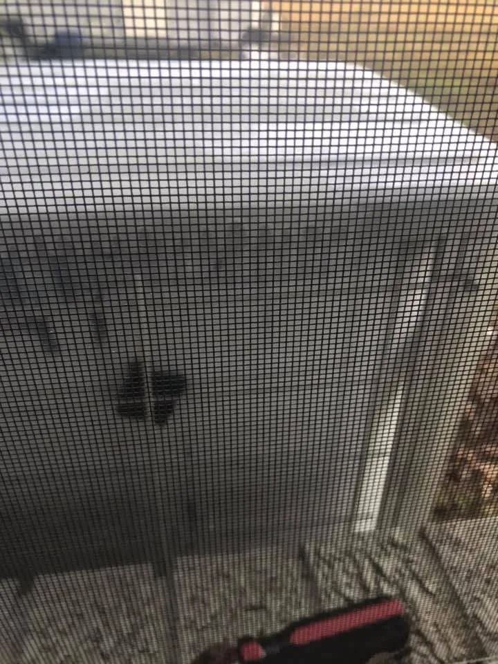 Outdoor HVAC unit behind a window screen with a black-and-red tool on the sill