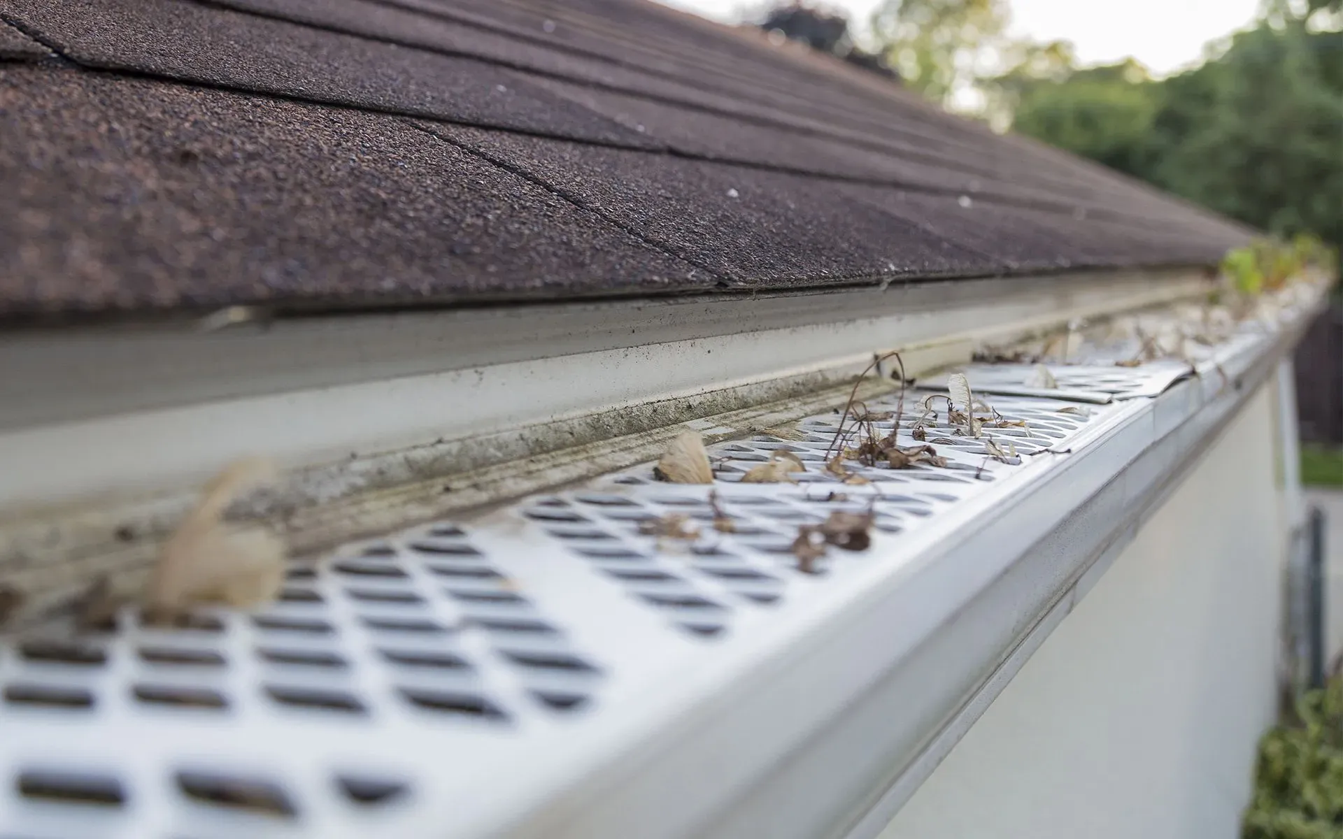 A close up of a gutter with leaves on it and a roof in the background.