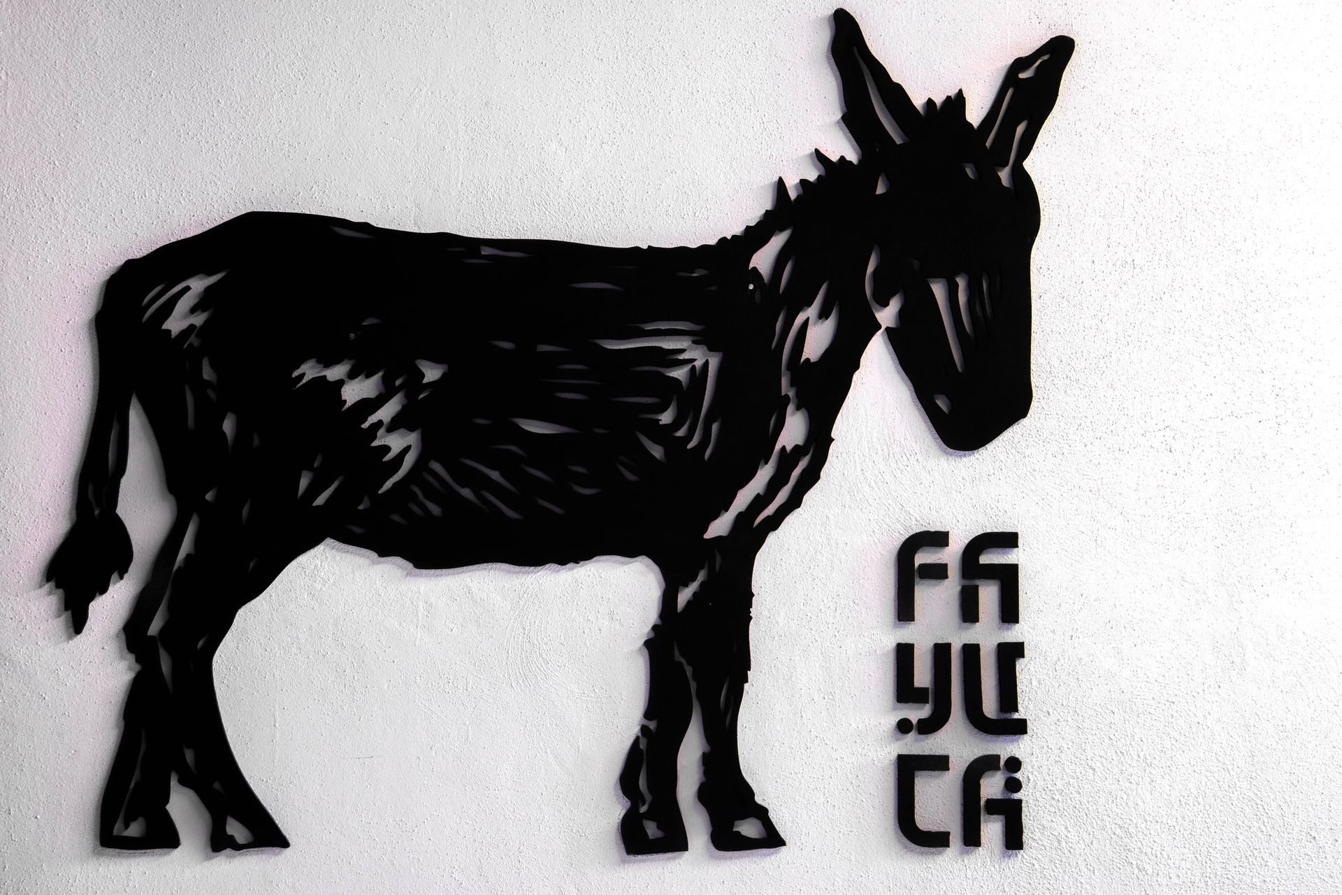 Fayuca