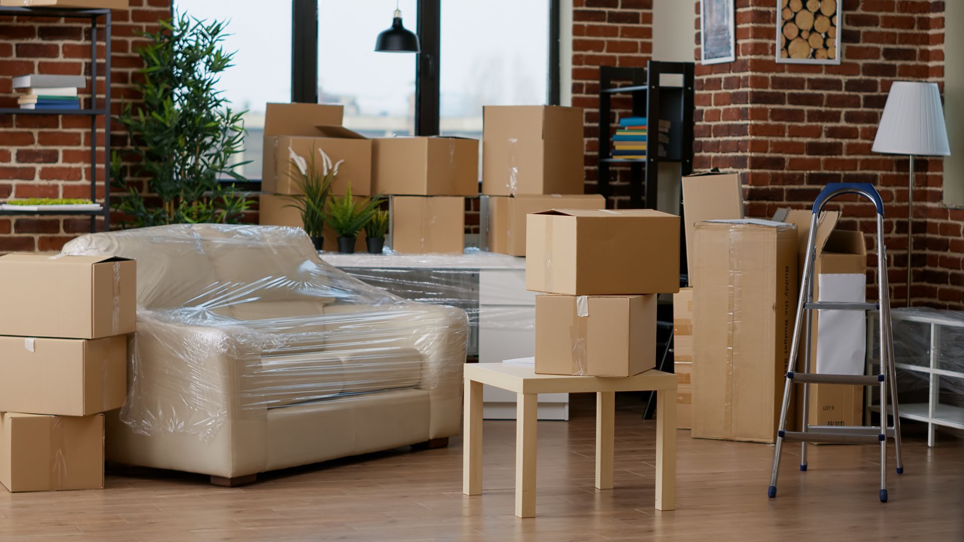 Interior view of a room packed with cardboard moving boxes, furniture wrapped in plastic, and a ladder.