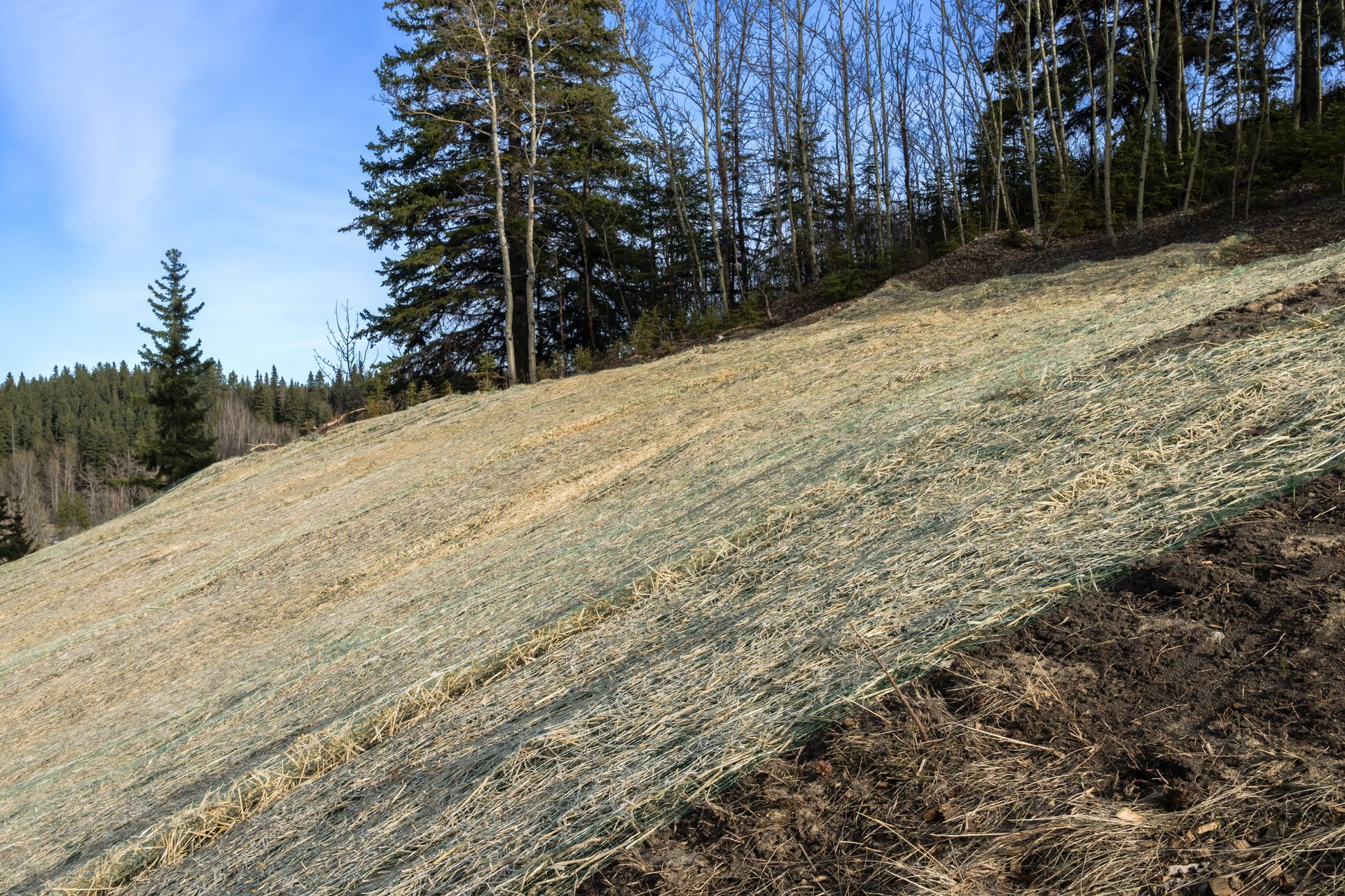 A hillside with layers of brown and green erosion control