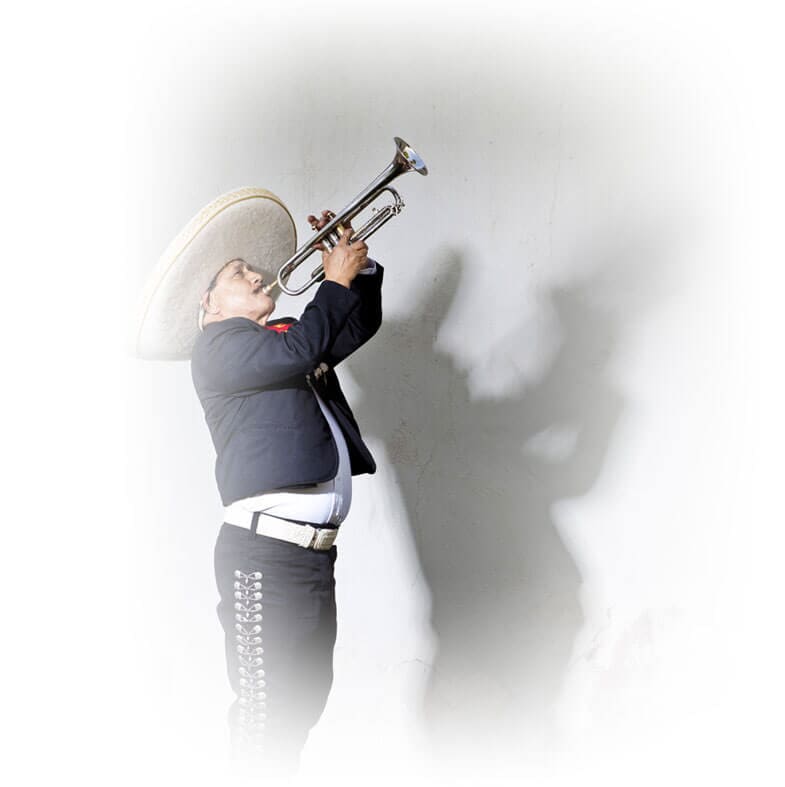 MARIACHI SOL DE MORELOS - Serenatas