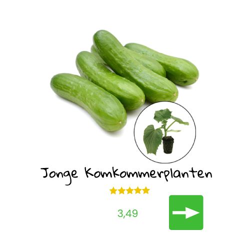 Een stapel groene komkommers naast een klein komkommerplantje; de ​​tekst luidt 