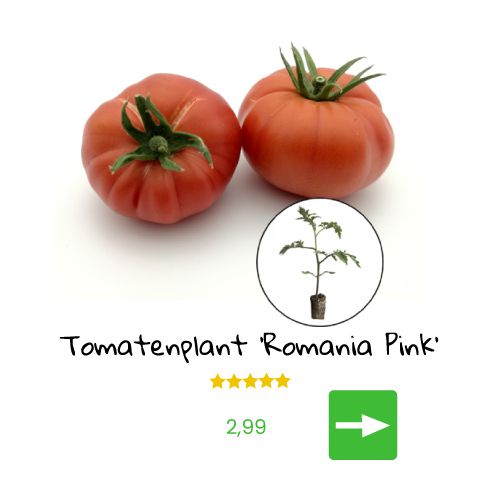 Een stapel bruine Vivikali-meststof met een aankoopknop.