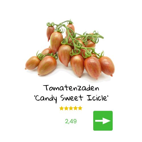 Rode tomaten, met het label 'Sweet Survivor', een prijskaartje van 2,99 en een groene pijl.
