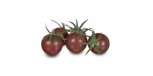 Rode eiercocktail tomaten met groene kroon. Speciaal voor de buitenteelt.