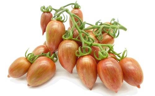 Een tros langwerpige, roodbruine tomaten met groene stelen, tegen een witte achtergrond.