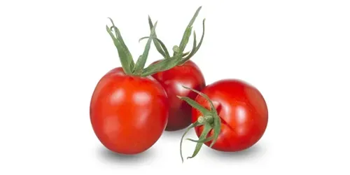 Rode eiertomaten De Barao met groene kroon. Speciaal voor de buitenteelt.