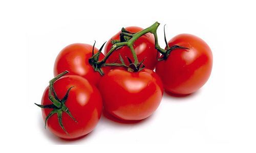 phytophthora resistente tomatenras Rondobella. Rood en rond