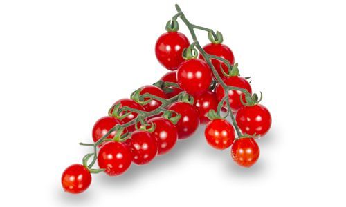 Datterini Lekkerste snoeptomaatjes