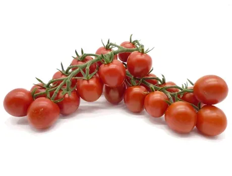 Een tros rode cherrytomaten van het ras Zasweet, geïsoleerd op een witte achtergrond.