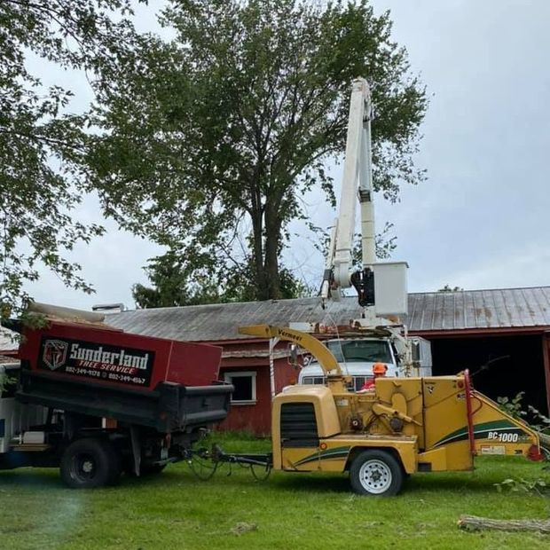 Truck With Storage – Shoreham, VT – Sunderland Tree – Shoreham, VT – Sunderland Tree