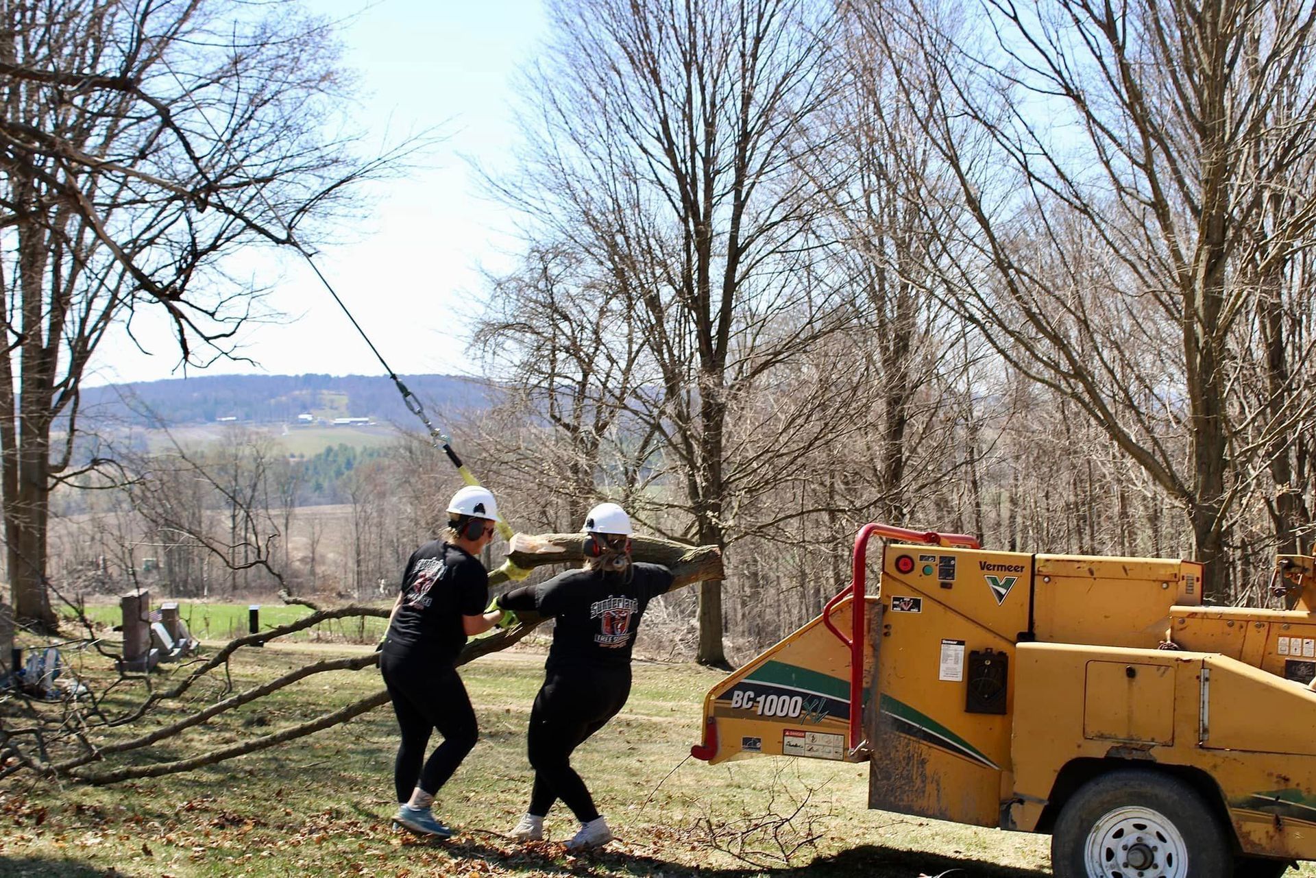 Two people feed tree branches into a wood chipper outdoors on a sunny day.