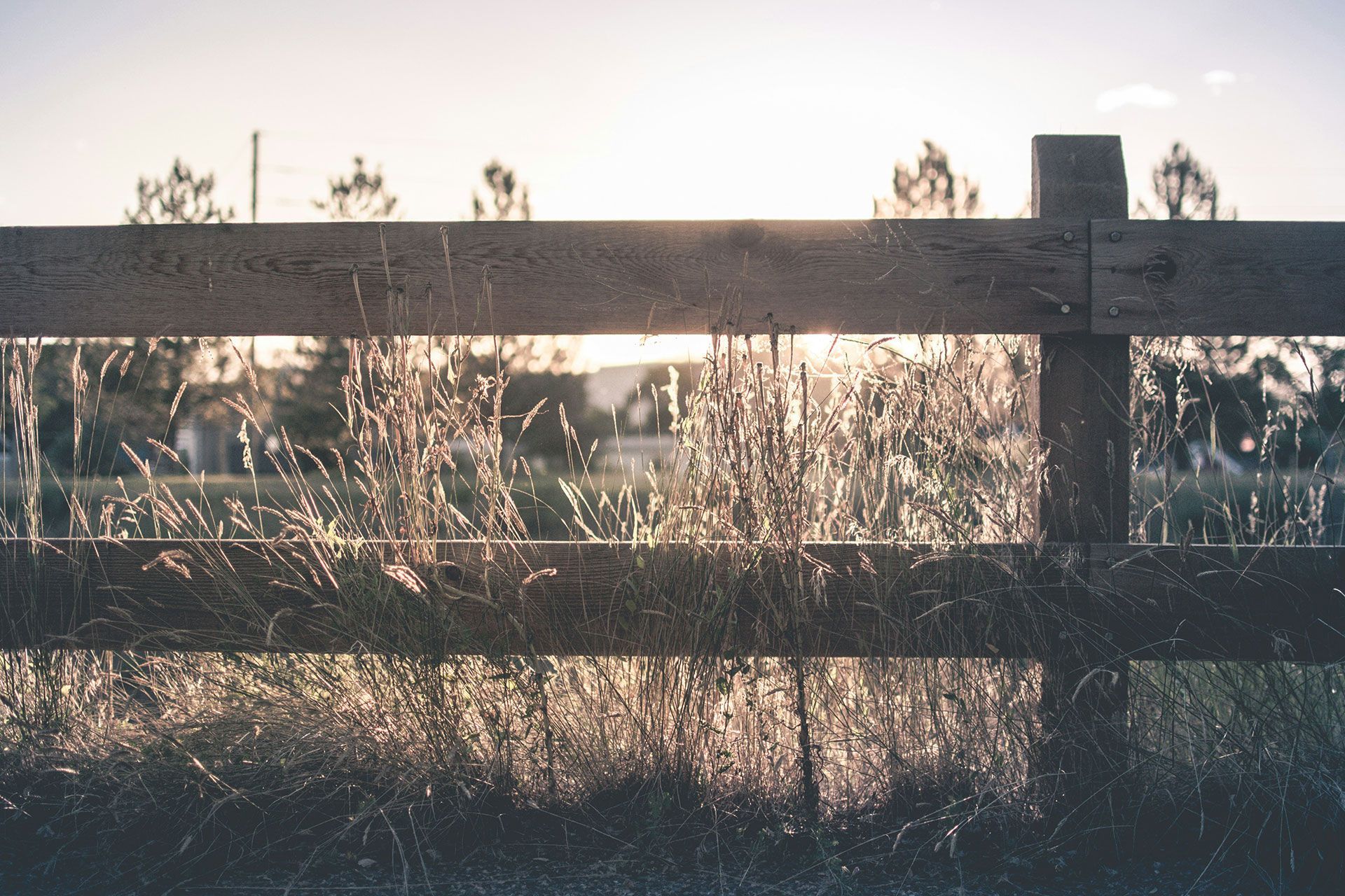 : Cypress, TX funeral home and cremations