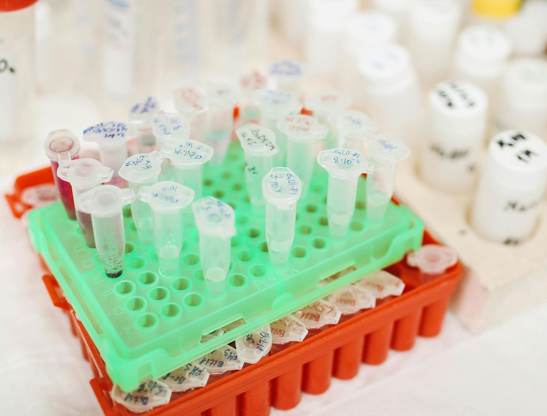 Laboratory tubes in a green rack, inside a red tray. Other bottles and tubes in the background.