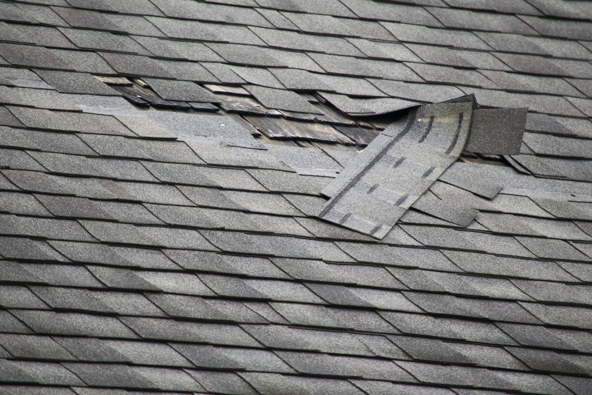 Louisville Roof Repair Pro Restoration Plus