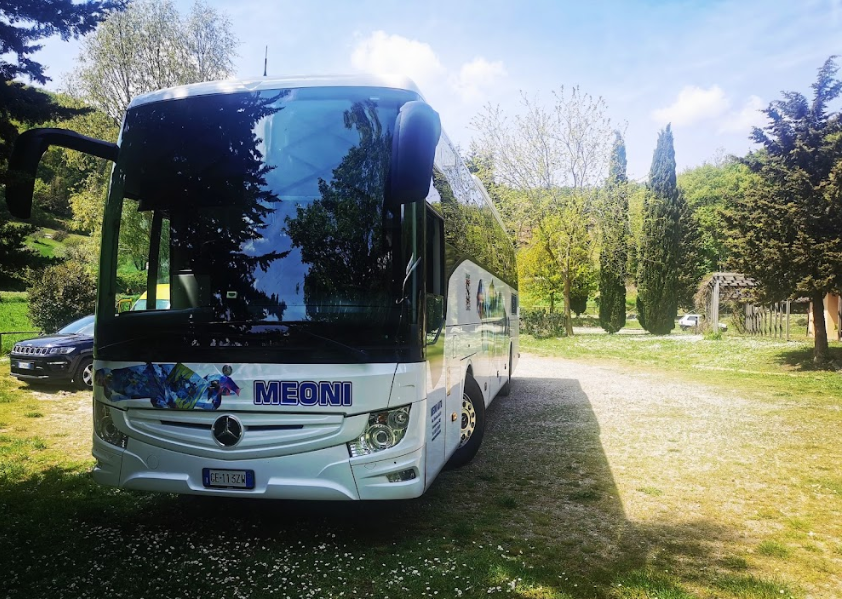 Autobus bianco della MEONI parcheggiato su un prato erboso tra gli alberi in pieno giorno