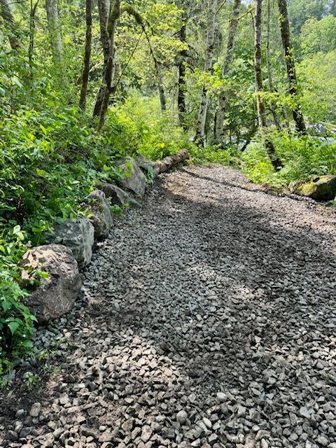A gravel path winds through a lush, green forest with a stone border lining the left side.
