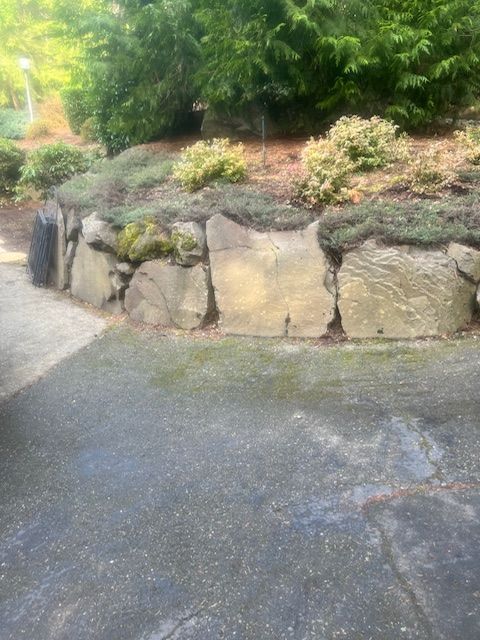A curved stone retaining wall borders a paved driveway, topped with low-lying green shrubs and trees.