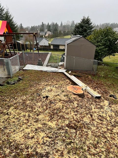 A tree stump surrounded by wood chips in a backyard, with a collapsed white gutter section lying across the grass.