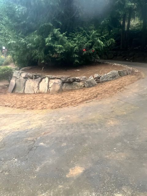 A curved stone retaining wall borders a raised garden bed with a large evergreen tree, set beside a paved driveway.