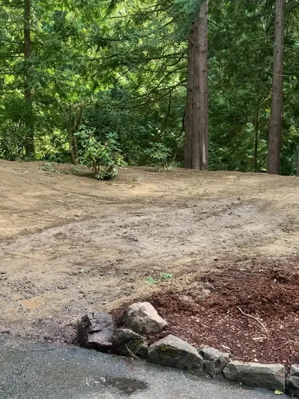 An outdoor scene featuring a cleared, dirt-covered yard transitioning into a forested area with a stone border in foreground.