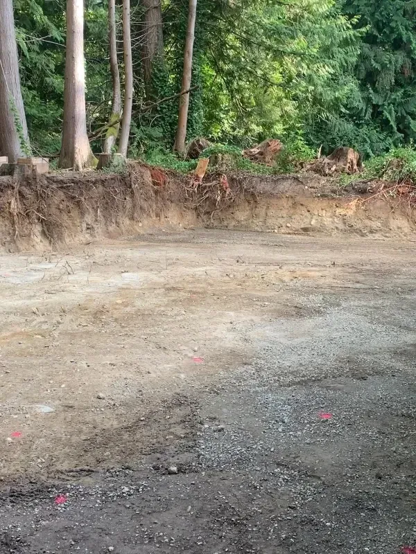 A graded construction site with exposed dirt and gravel, backed by a line of tall trees.