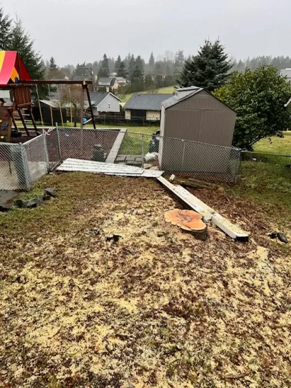 A backyard with a tree stump covered in wood shavings, a shed, and a playset under an overcast sky.