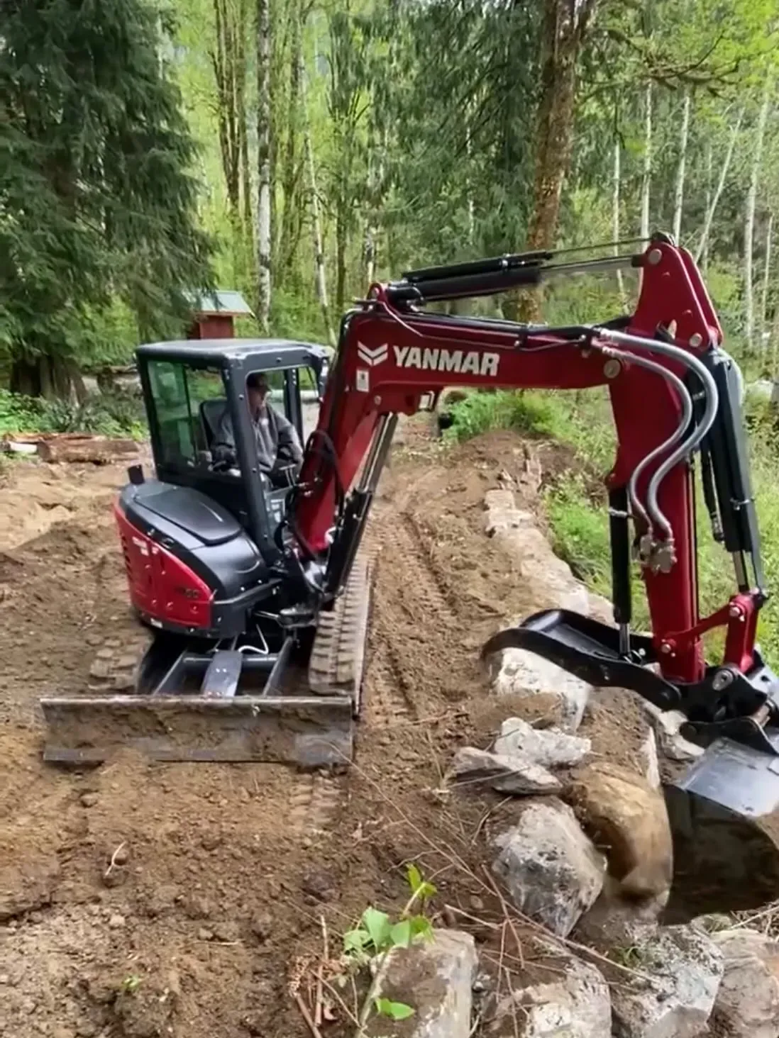 A red Yanmar excavator with a thumb attachment sits on a dirt path in a wooded area, moving large rocks.