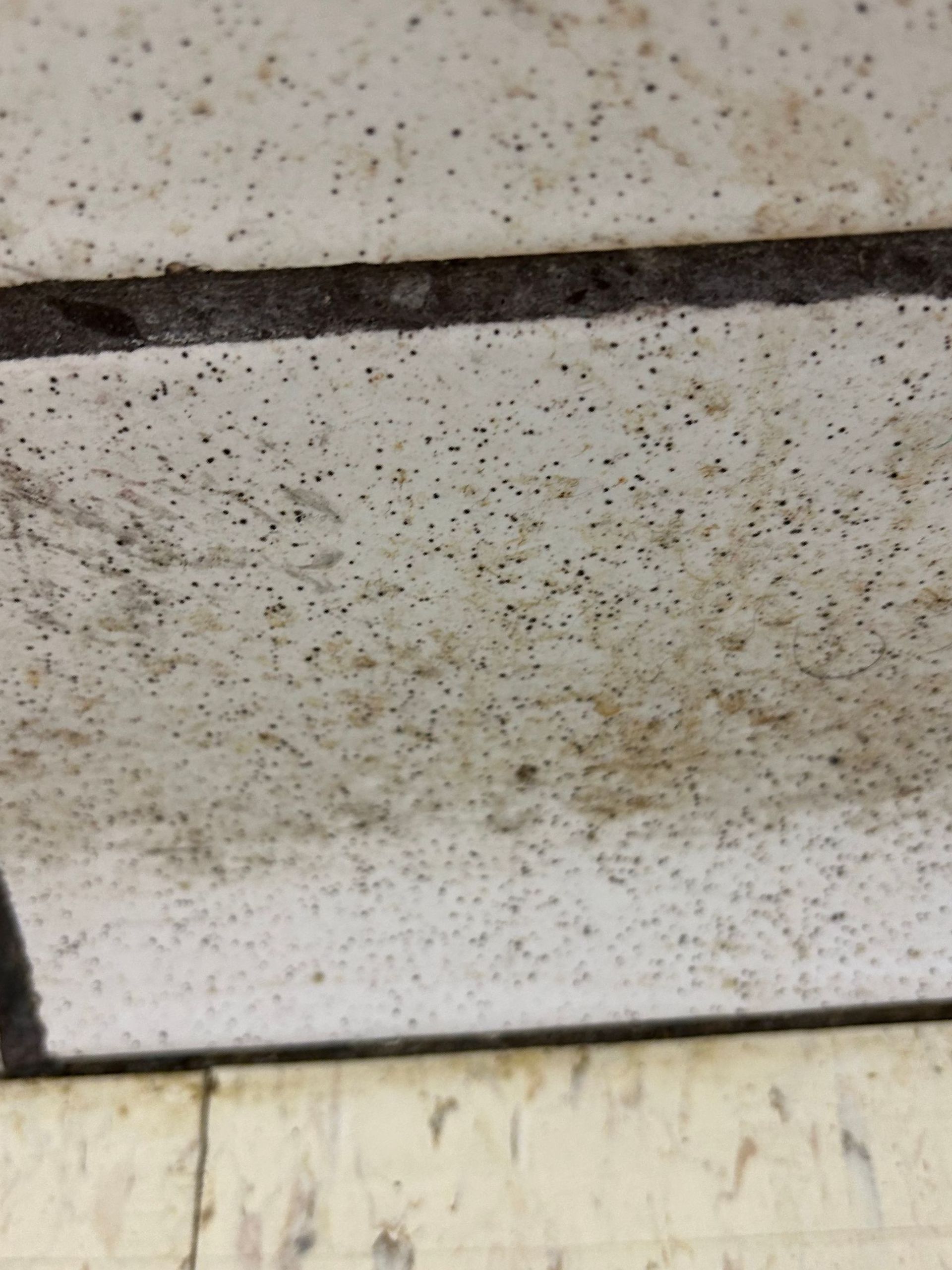 Industrial Cleaning in west georgia