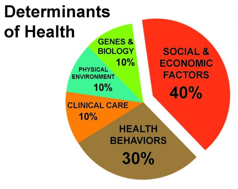 Health Promotion And Disease Prevention An Overview