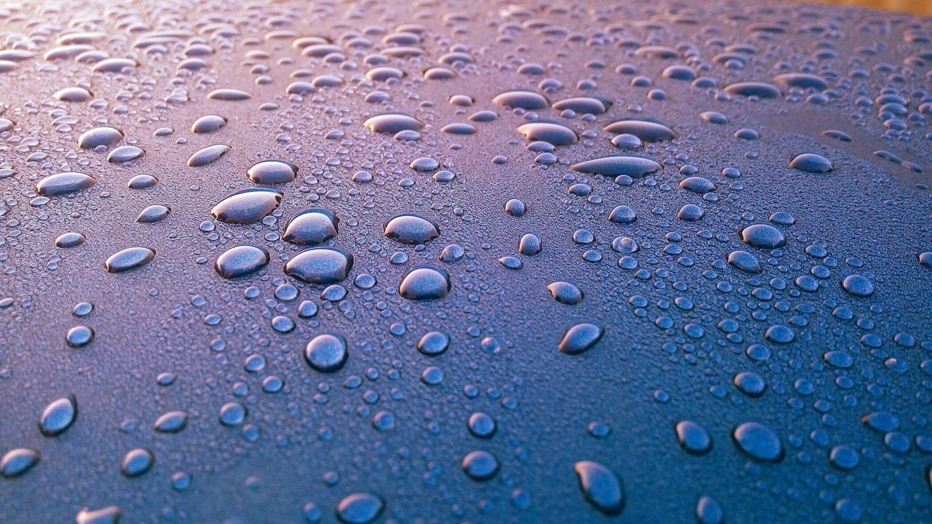 Water Droplets 