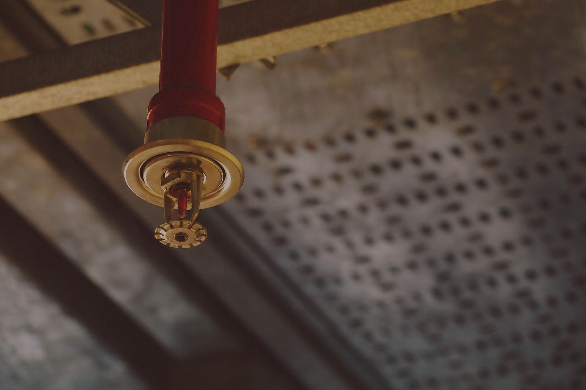 Close-up of a red sprinkler head mounted to a perforated ceiling panel