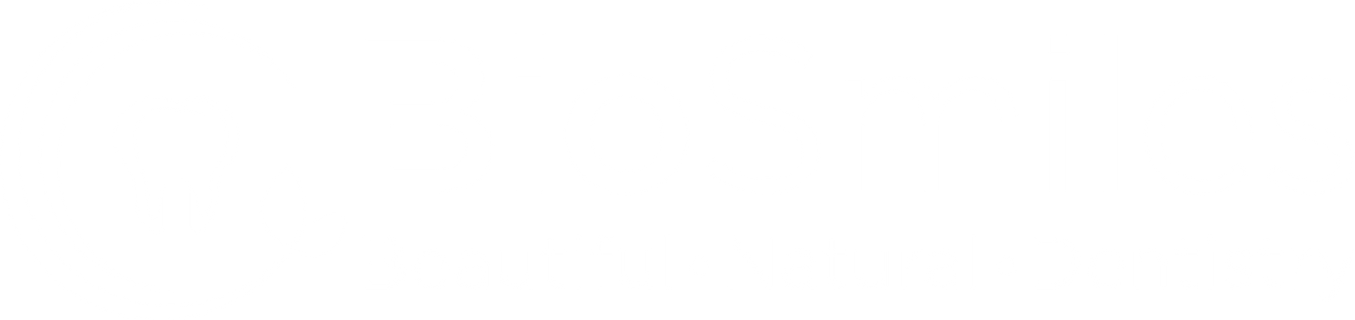 BioSmiles Beautiful Natural Dentistry logo | Same Day Dentist in Eagle ID