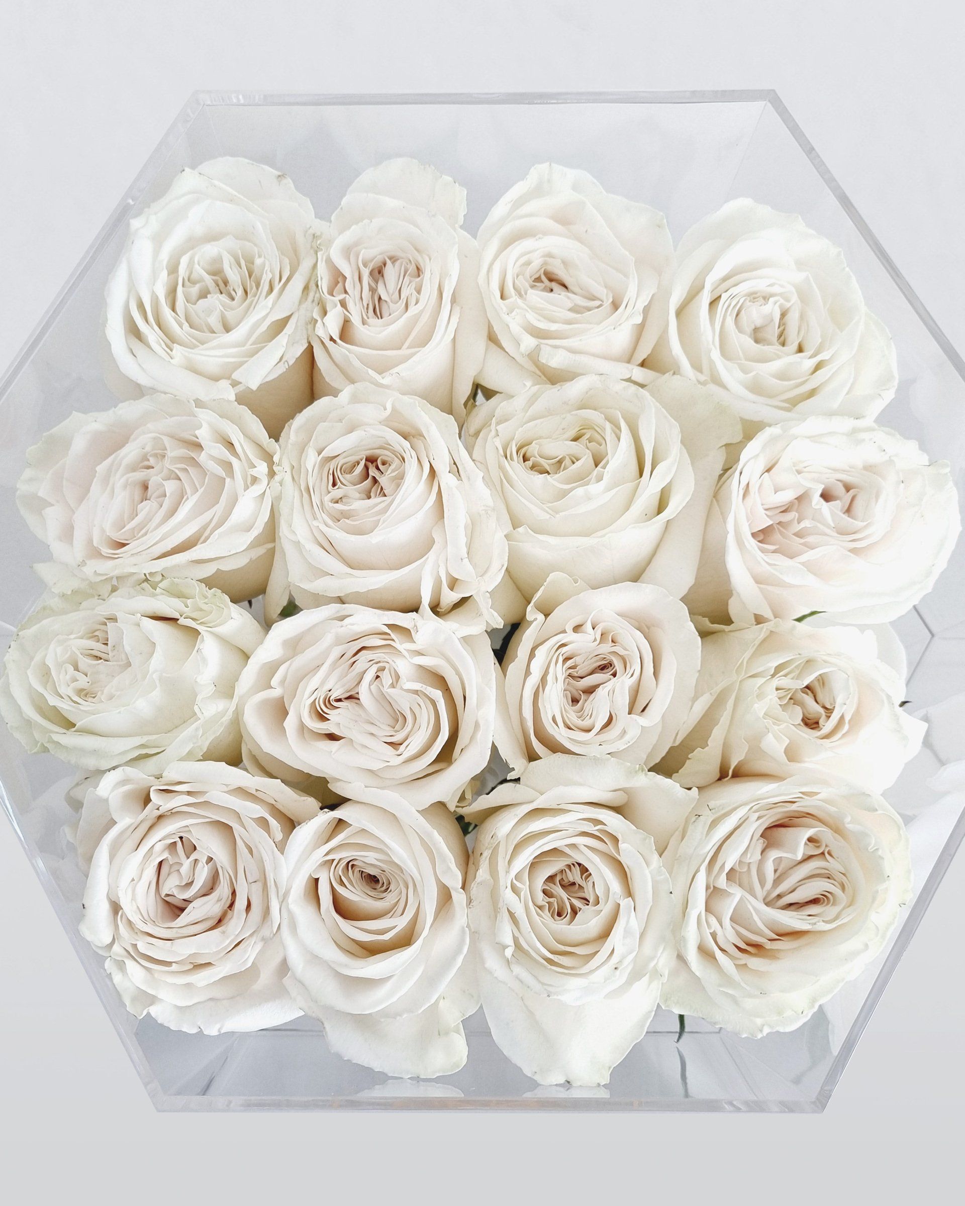 New floral box