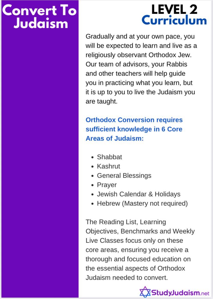 Purple and white flyer for Level 2 Judaism curriculum, detailing conversion requirements.