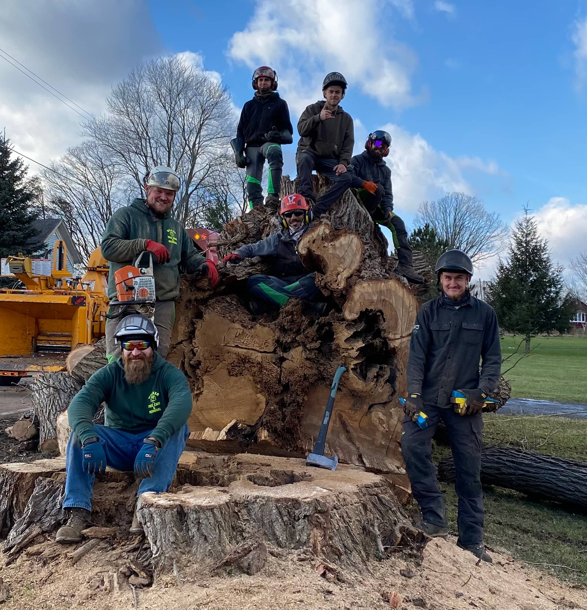 Tree Care & Removal Walker Tree Care Inc Proudly Serving Central New York