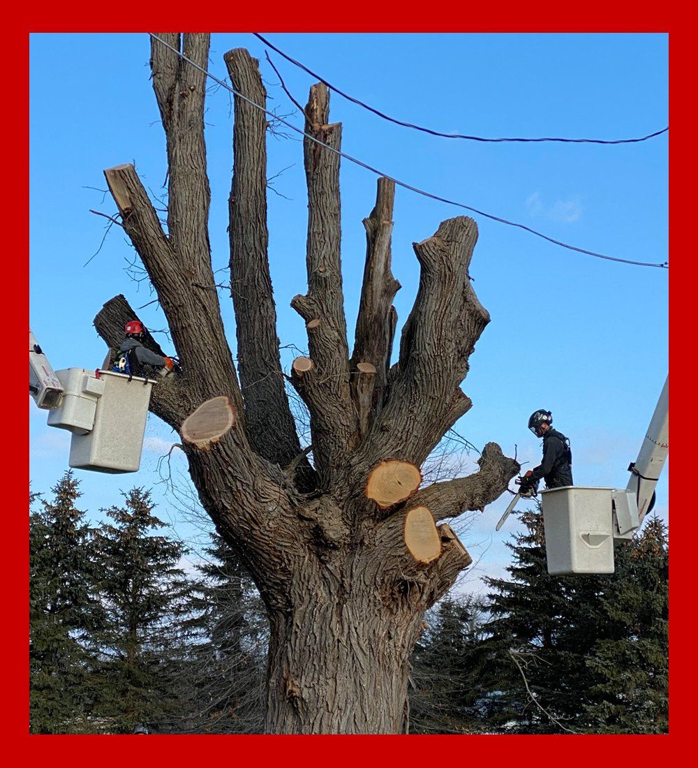 Walker Tree Care Inc.