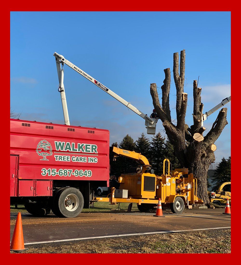 Walker Tree Care Inc.