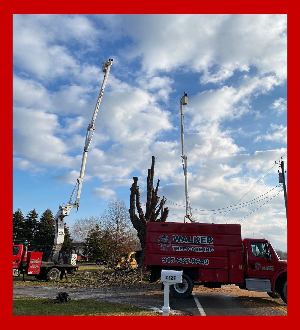 Walker Tree Care Inc.