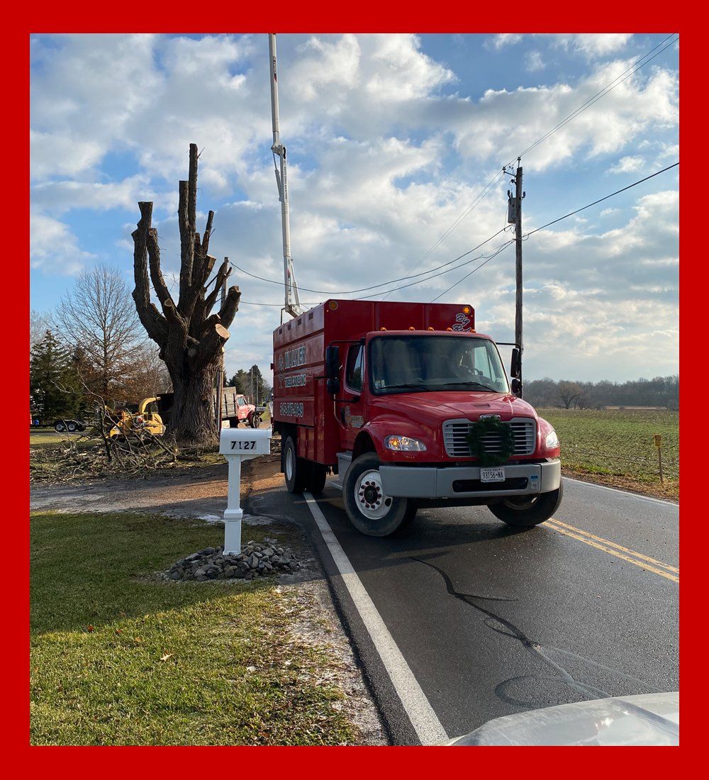 Walker Tree Care Inc.