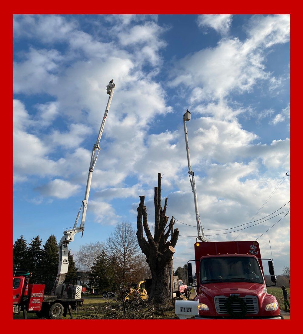 Walker Tree Care Inc.