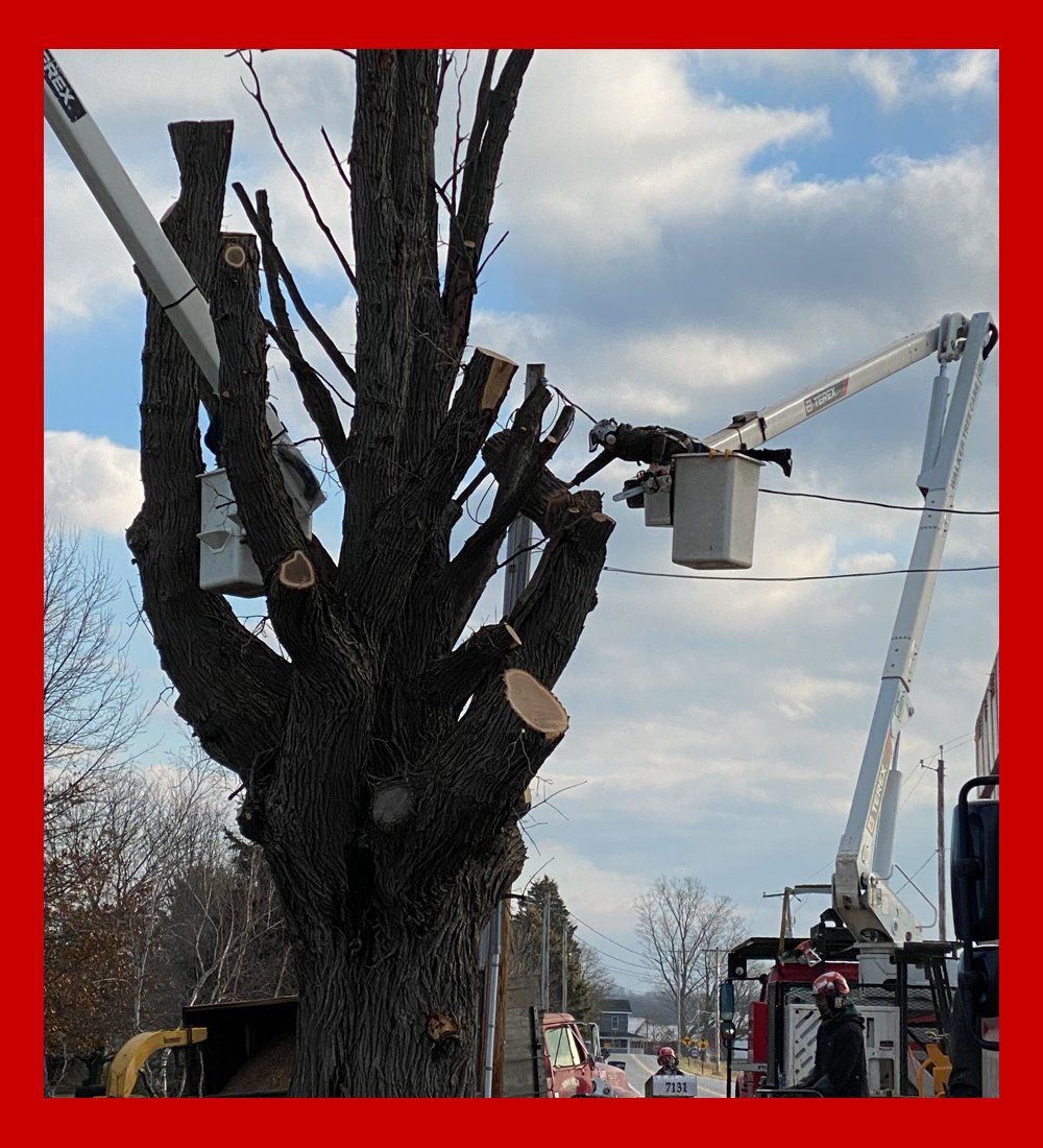 Walker Tree Care Inc.